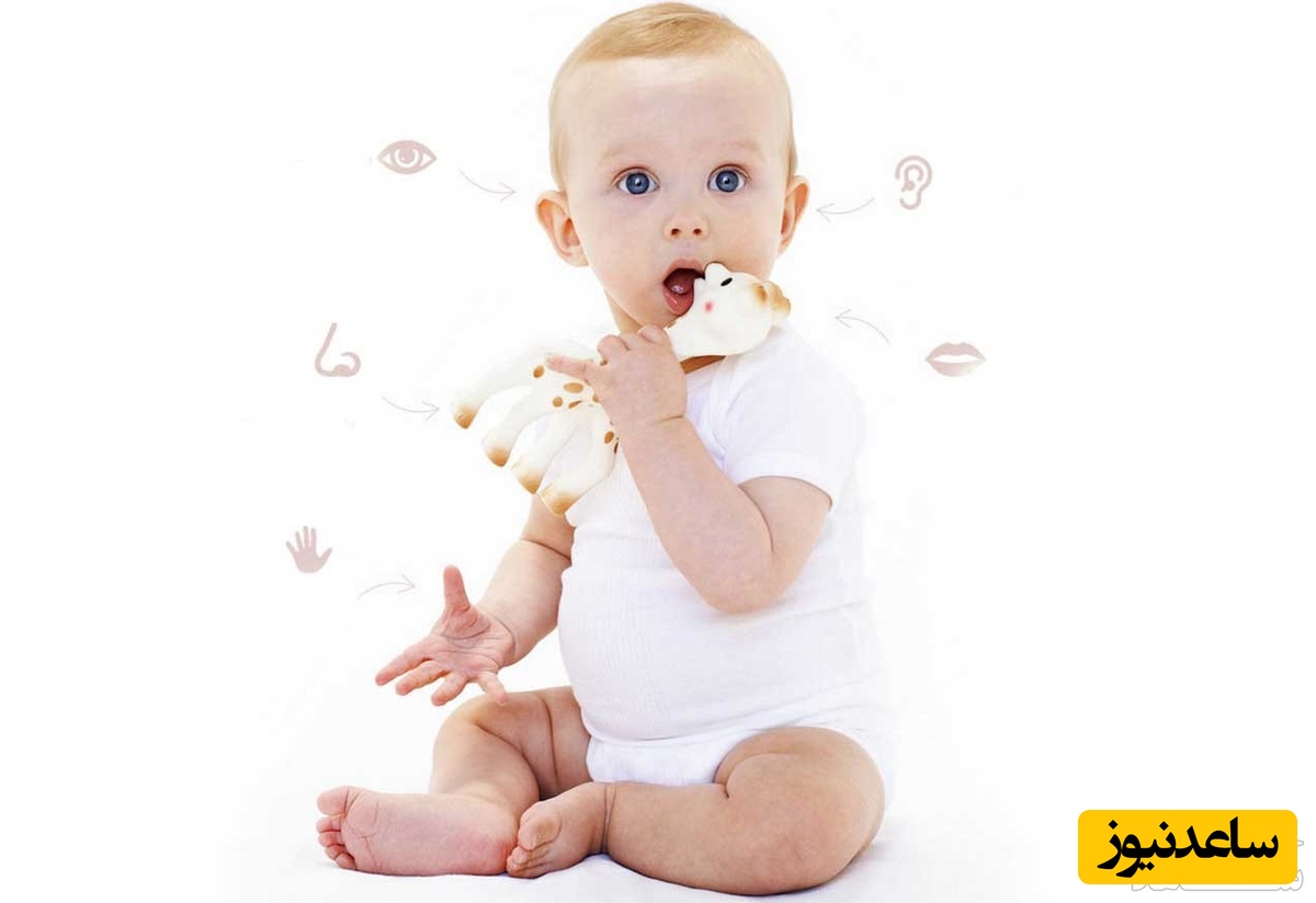 مراحل رشد و تقویت حواس پنج گانه در کودکان