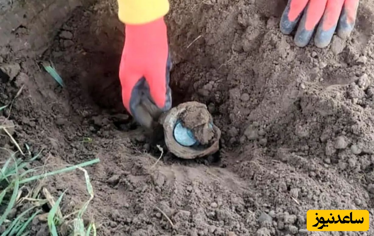 زن و شوهر روستایی «کوزۀ سکّه‌های 300 ساله» را در مزرعه‌شان پیدا کردند