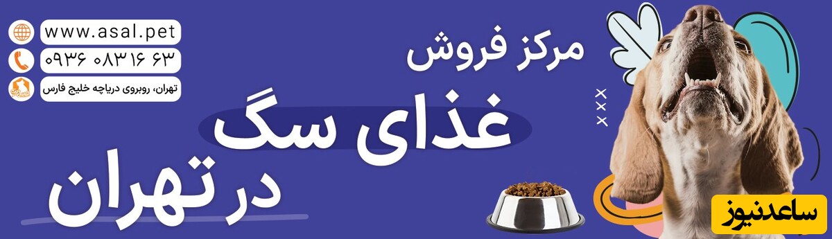 پت شاپ های عمده فروش تهران