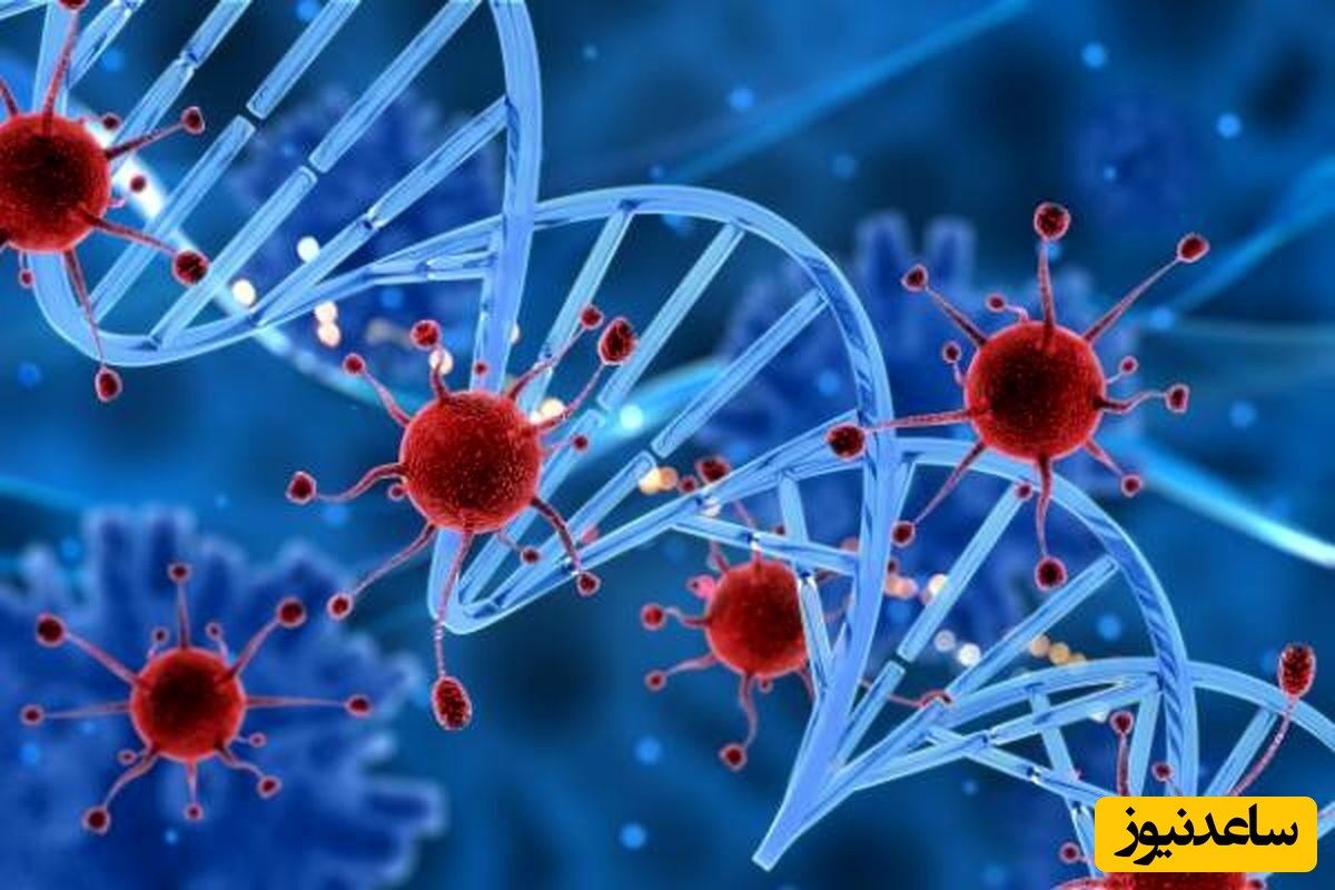 سلول‌درمانی معجزه‌ای شگفت‌انگیز برای ناباروری در پژوهشگاه ابن‌سینا!