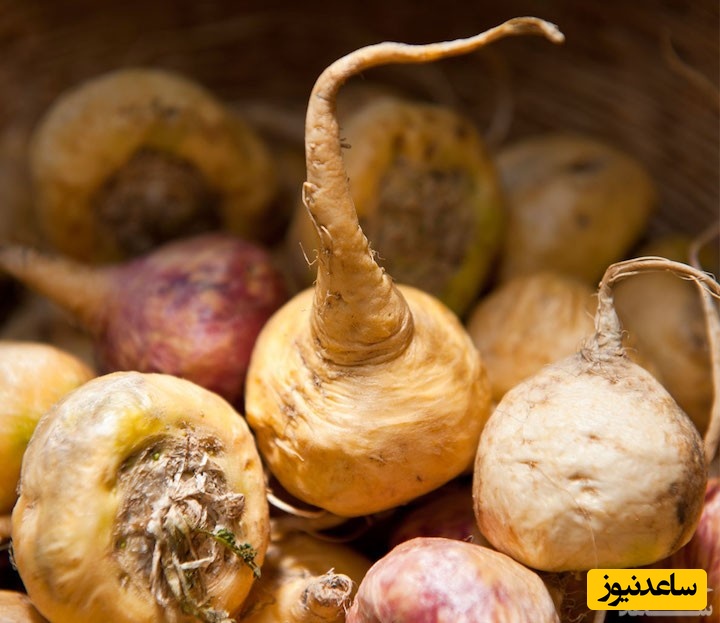 خواص جالب گیاهان/ افزایش میل جنسی و درمان مشکلات جنسی با گیاه ماکا