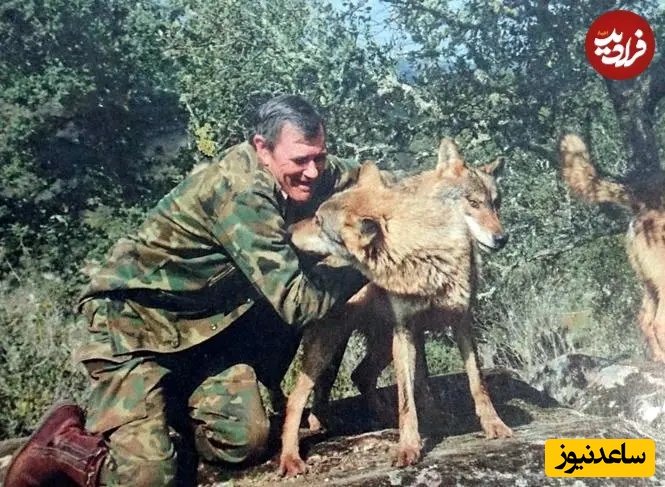مردی در میان گرگ