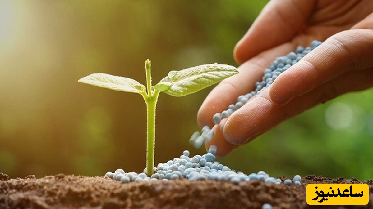 دانلود رایگان دفترچه سوالات و پاسخنامه آزمون کارشناسی ارشد زراعت و اصلاح نباتات از سال 94 تا 96