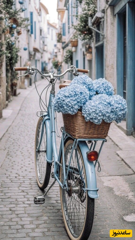 دیدن دوچرخه در خواب چه تعبیری دارد؟ / تعبیر خواب دوچرخه