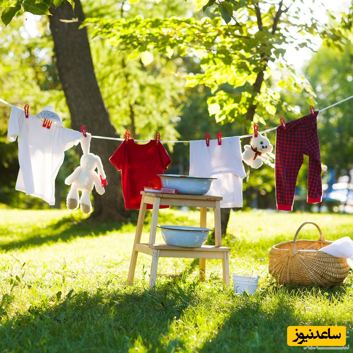 دیدن بند لباس در خواب چه تعبیری دارد؟ / تعبیر خواب بند لباس