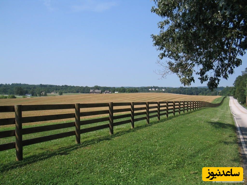 دیدن حصار در خواب چه تعبیری دارد؟ / تعبیر خواب حصار