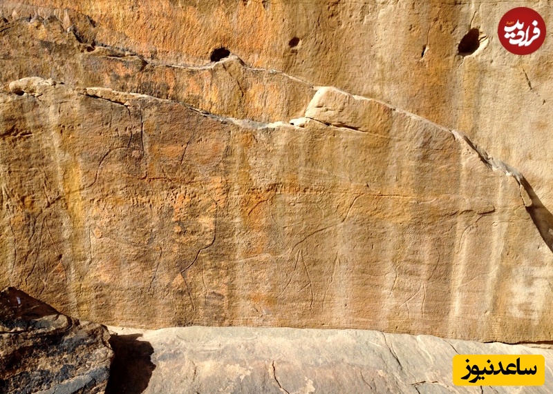 تصویری از یک کاروان شتر که بر روی صخره حکاکی شده است