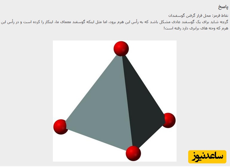  پاسخ تست هوش