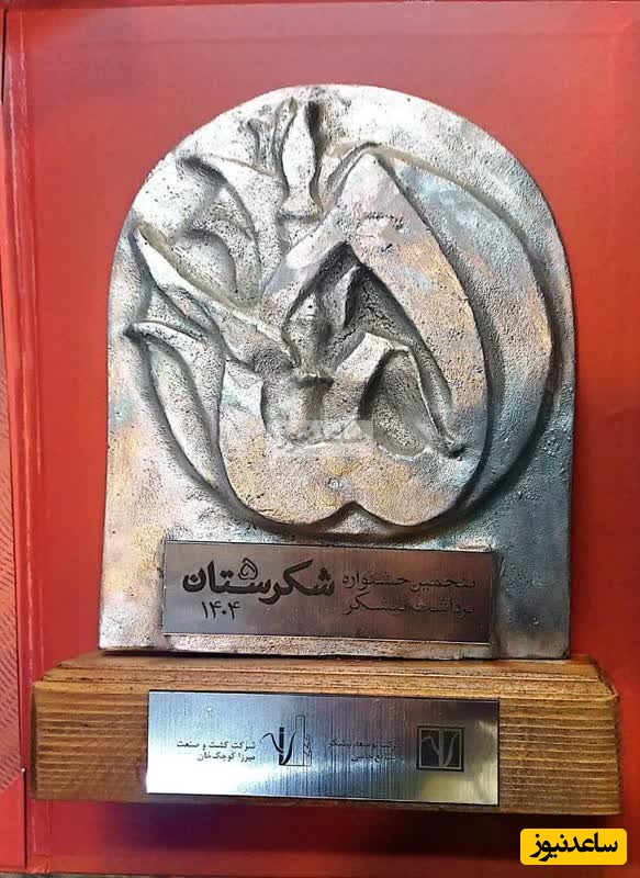 درخشش خبرنگار شوشتری در جشنواره ملی شهد رسانه؛ کسب رتبه نخست در بخش «توسعه پایدار»