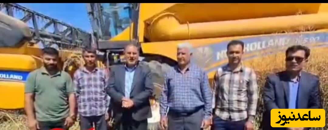 پیش بینی برداشت 9 هزار تن کلزا در شوشتر