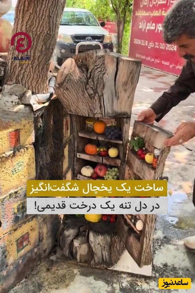 خلاقیت تحسین‌برانگیز یک کشاورز هنرمند برای تبدیل درخت به یک یخچال فول امکانات لاکچری؛ هر چی بخوای میتونی پیدا کنی/ هنر نزد مردان است و بس🤣