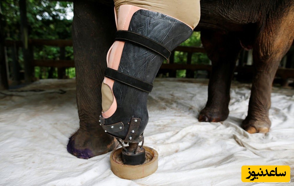 دیدن چلاق در خواب چه تعبیری دارد؟ / تعبیر خواب چلاق