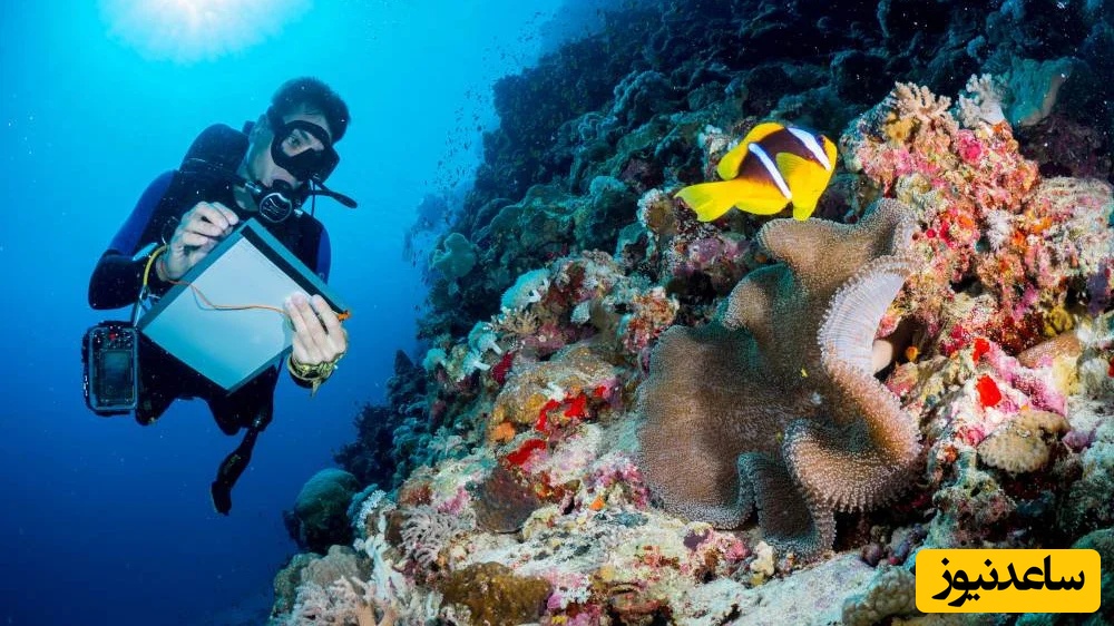 دانلود رایگان دفترچه سوالات و پاسخنامه آزمون کارشناسی ارشد زیست‌شناسی دریا از سال 94 تا 96