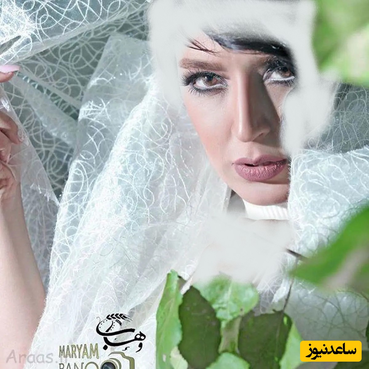 فریبا طالبی