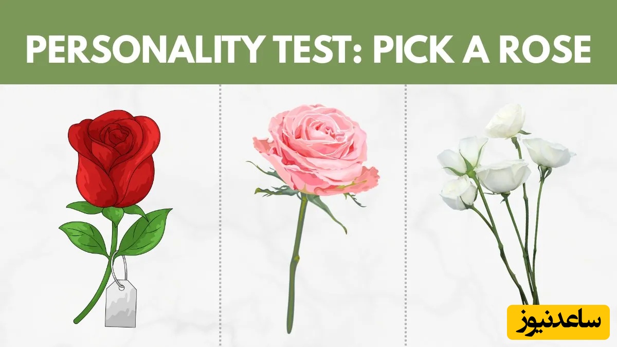 تست شخصیت: تو 3 ثانیه یک گل رز انتخاب کن تا بفهمی چطور با استرس کنار می‌آیی! 🌹