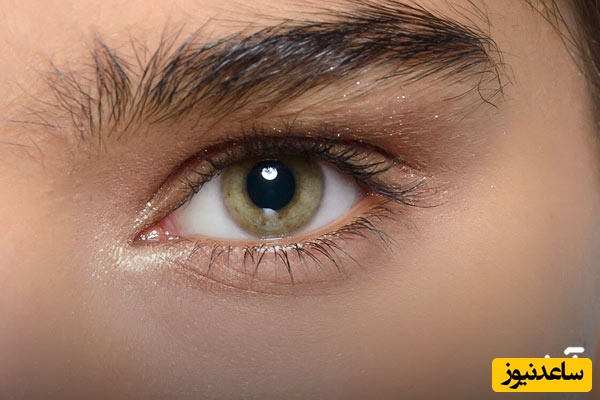 پرپشت شدن ابرو با روش‌های گیاهی؛ معجزه طبیعت برای ابروهایی پرپشت و طبیعی