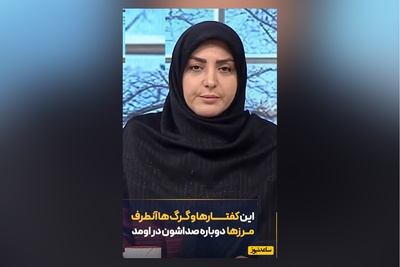 عصبانیت شدید المیرا شریفی مقدم از کفتارها و گرگ‌های آن طرف آبی/ اصلا به شما ربطی نداره،شما خیلی بیخود میکنی که ...