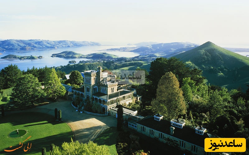 دانشگاه اوتاگو