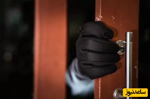 (ویدئو) ایستادگی این زن هندی در برابر سارقان در کل دنیا سروصدا به پا کرد / آفرین شیرزن