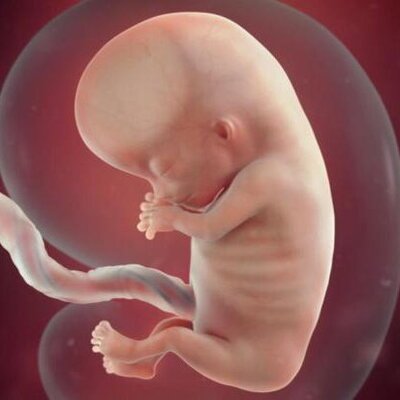 قانون اهدای جنین تخمک اسپرم