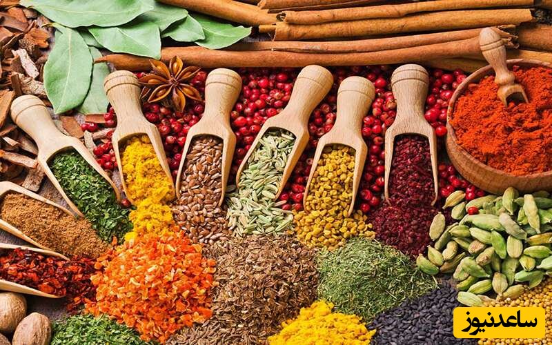 از دبی چی بیاریم بفروشیم؟ ایده‌های پولساز و ترندهای وارداتی