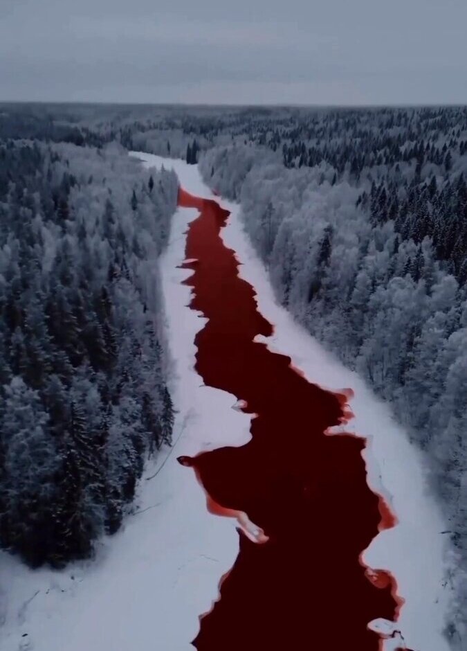 (فیلم) رودخانه ای در وسط کوهستان برفی که به طرز عجیبی خونریزی می کند!
