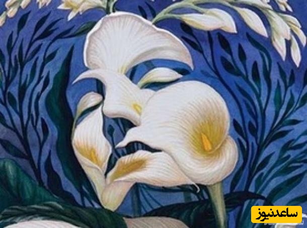 شخصیت شناسی