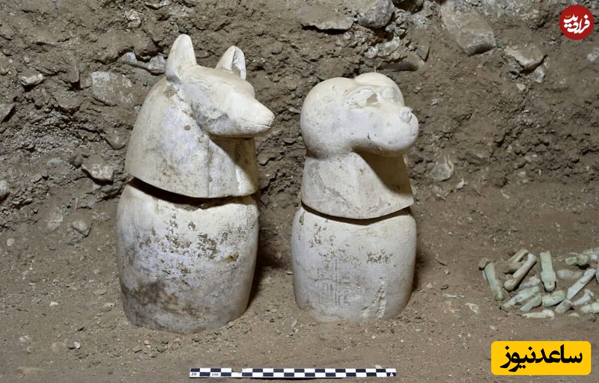 گنجینه مصر باستان