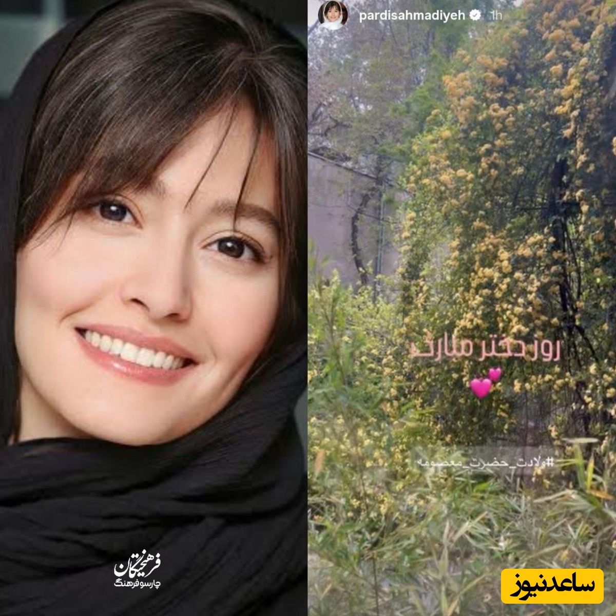 استوری هنرمندان