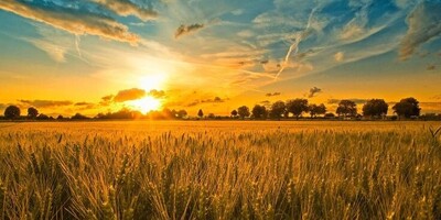 زیباترین متن‌های ادبی درباره طلوع آفتاب؛ شکوه طبیعت در کلمات شاعرانه