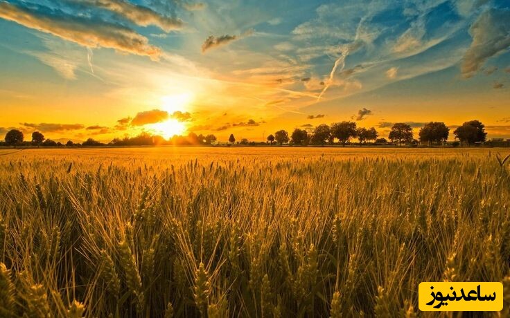 زیباترین متنهای ادبی درباره طلوع آفتاب؛ شکوه طبیعت در کلمات شاعرانه