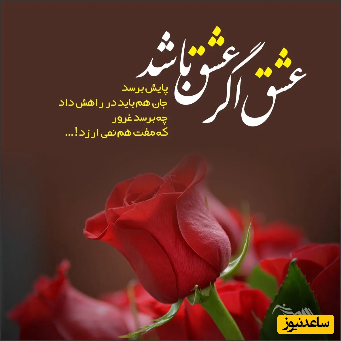 شعر ولنتاین