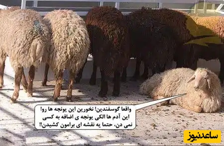 تبریک عید قربان