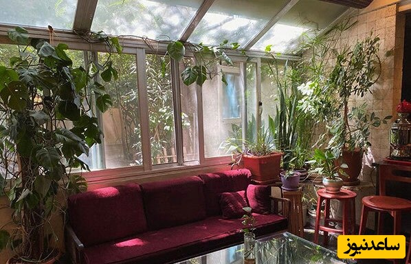 خانه الناز شاکردوست