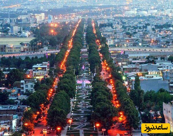 خلاقیت منحصربفرد شهرداری کرمانشاه برای لانه سازی پرندگان روی درخت ها/ماشالله به این هنر+عکس