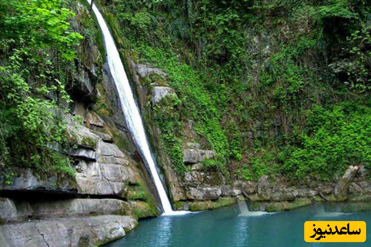 شفیع‌آباد کرمان