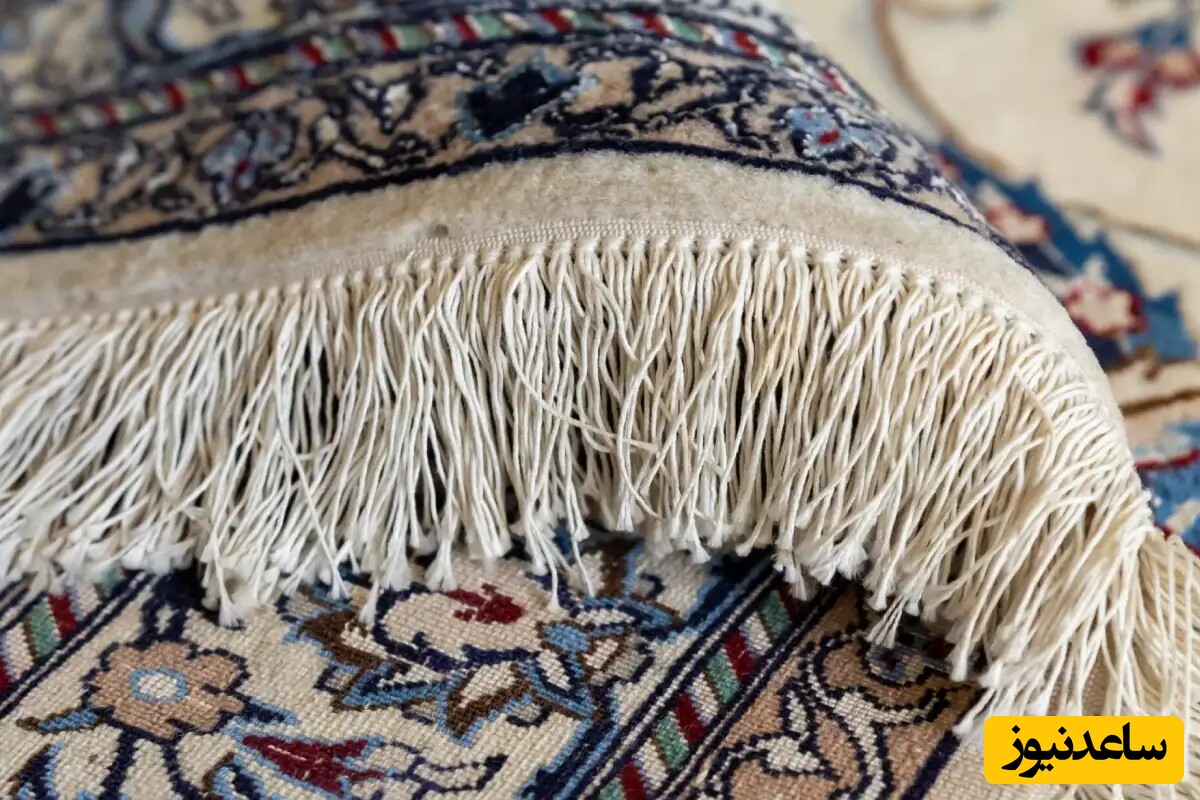  ریشه فرش
