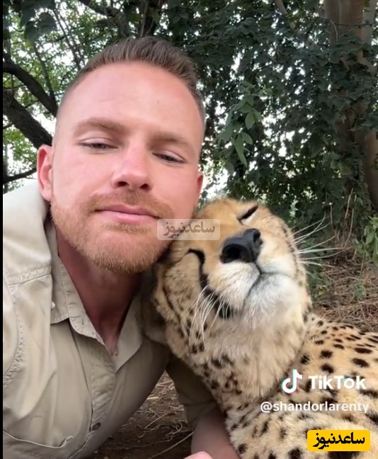 (ویدئو) نگاهی به جذابیت حیات وحش آفریقا با بلاگر محیط‌بان / این قسمت راز بقا: یوزپلنگ وحشی از دور ولی در واقعیت یک گربه ملوس😍