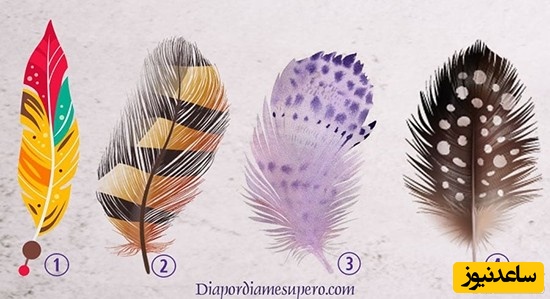 تنست شخصیت شناسی