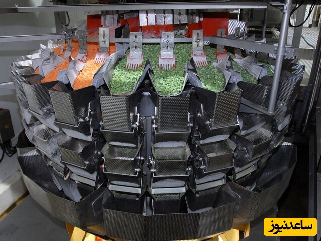 انواع پاکت بسته بندی میوه خشک