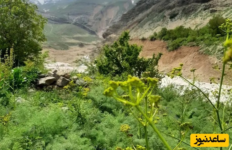 روستای ایگل