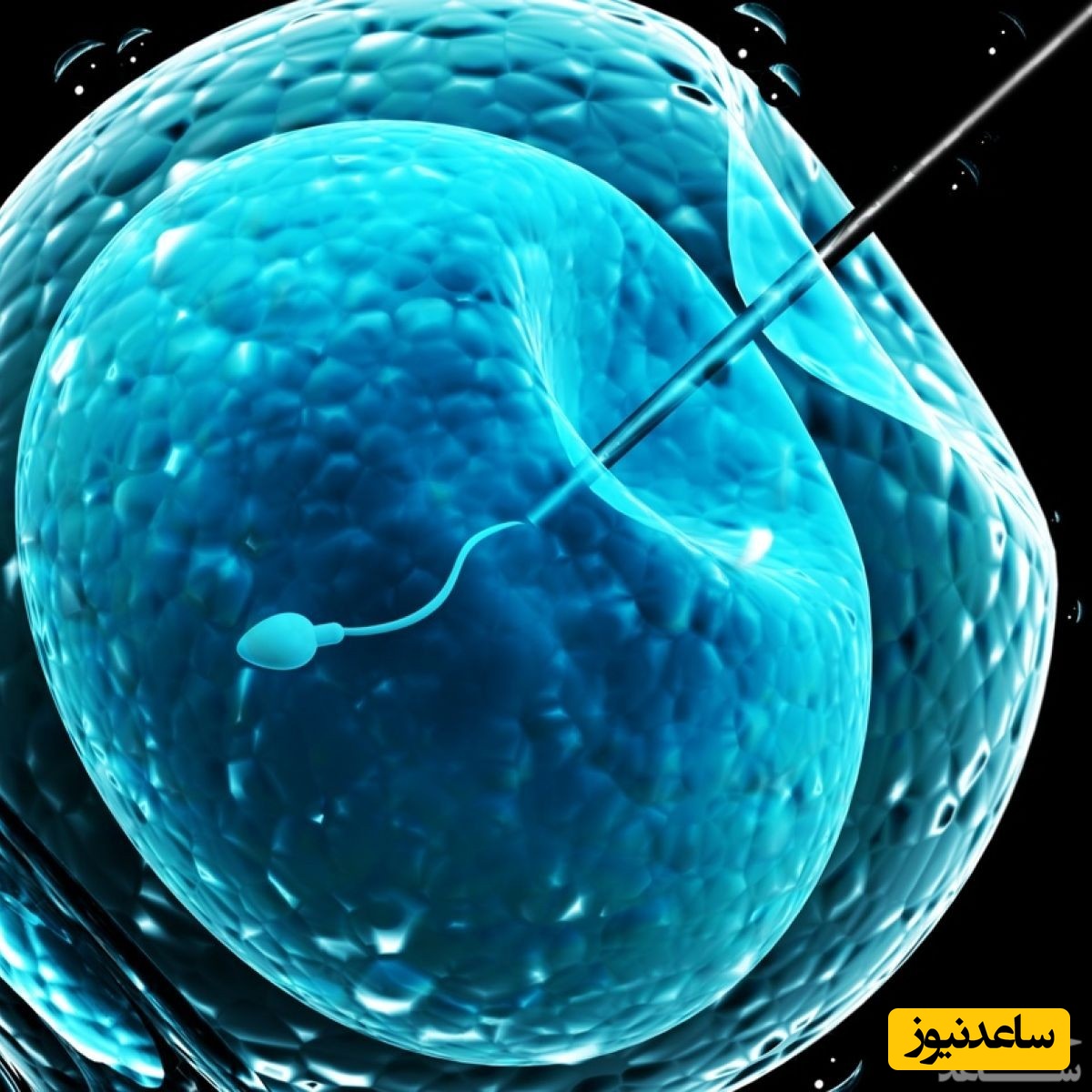 لقاح آزمایشگاهی