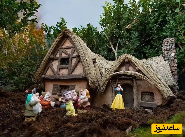 خانه هایی به شکل دیزنی لند