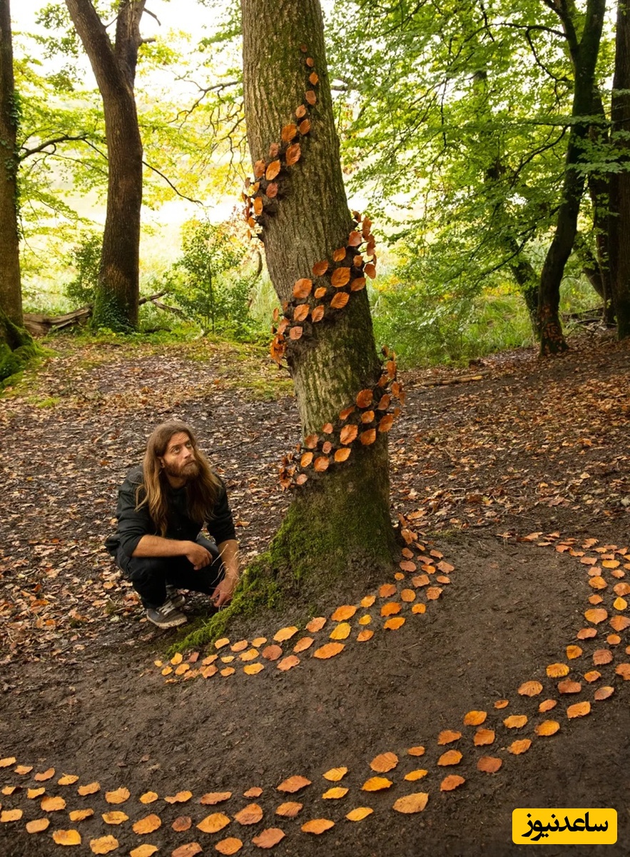 گرداب، جنگل‌های لیتل میلفورد، ولز