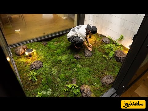 ابتکار خلاقانه و شگفت انگیز اوستا باغبان برای ساخت جنگل طبیعی و راحت وسط خانه؛ فکر کن یه اتاق شیشه‌ای جنگلی تو خونت داشته مگه میشه از این خونه دل کند 😍+ ویدئو