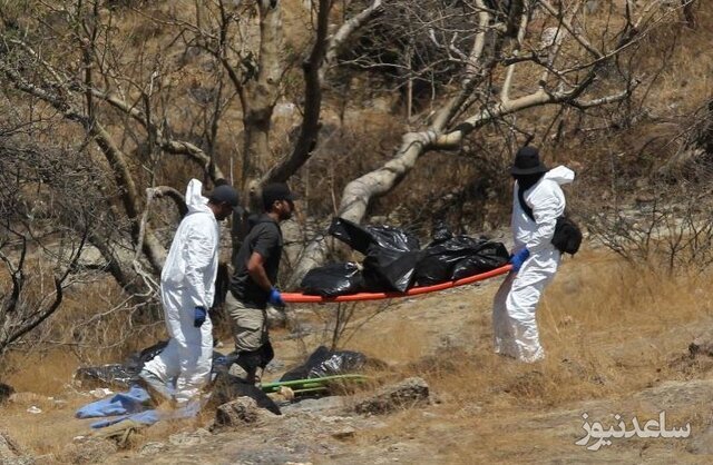 کشف 45 کیسه حاوی جسد انسان در عمق دره 40 متری