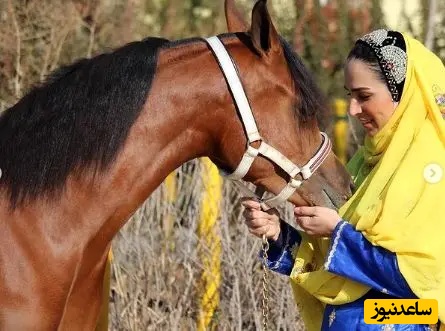 سوگل طهماسبی