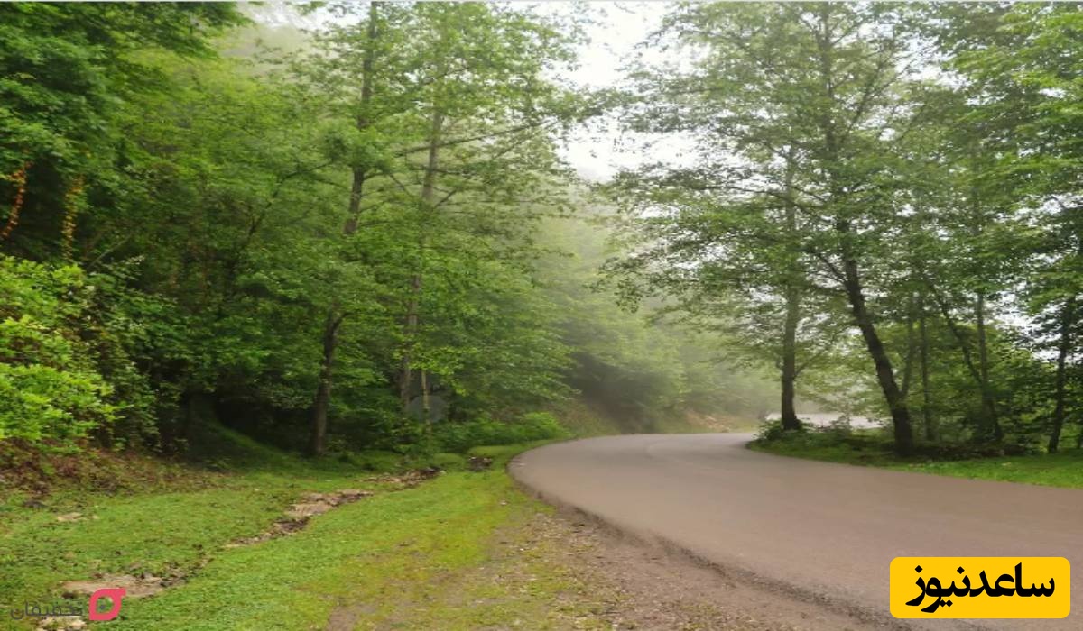 روستای لاویج