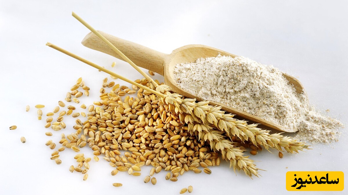 تعبیر خواب گندم