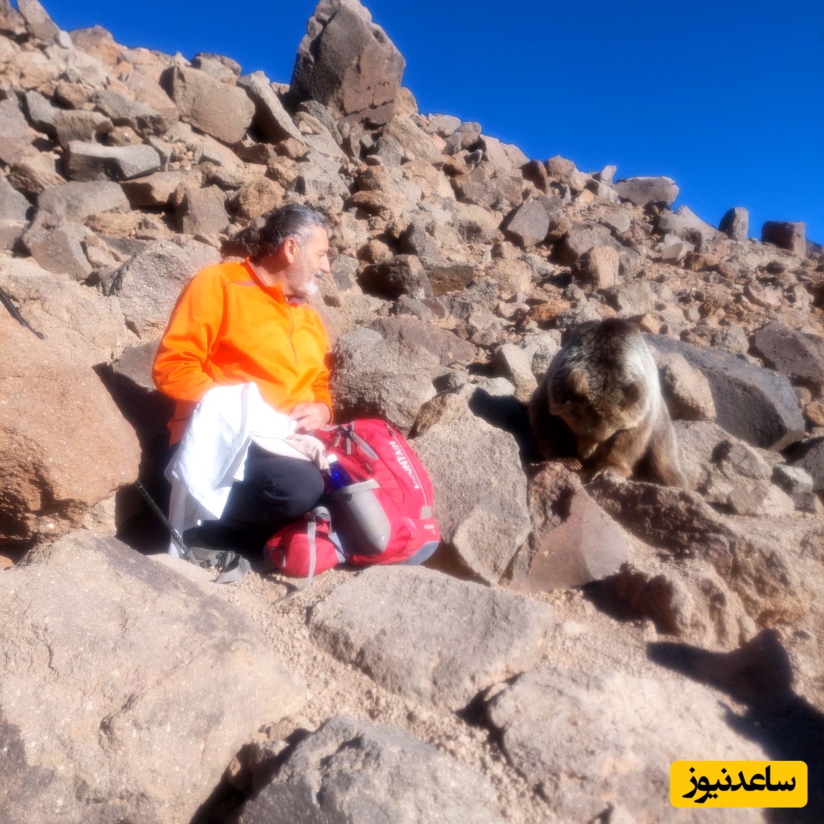 کوهنورد تبریزی 